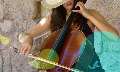 photo-musicale-violoncelle photo-musicale-violoncelle